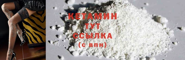 индика Богданович