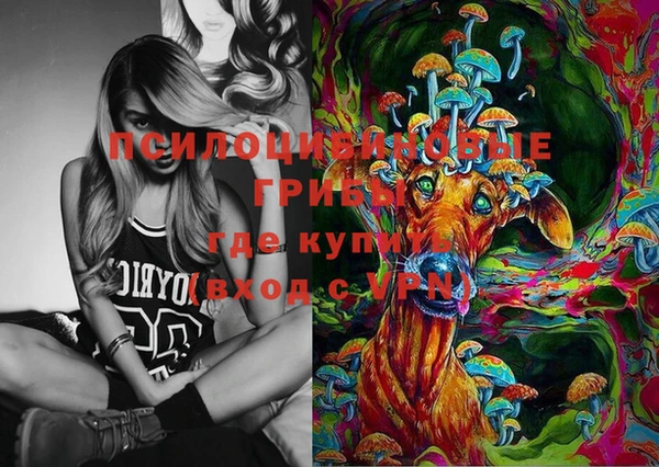 индика Богданович