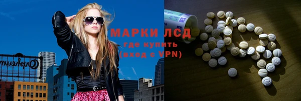 индика Богданович