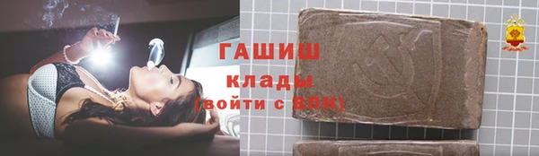 индика Богданович