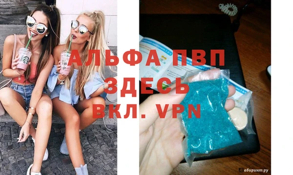 индика Богданович