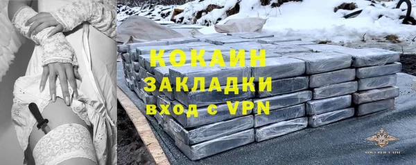 шишки Беломорск