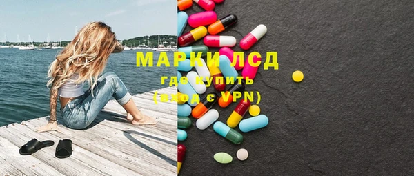 индика Богданович