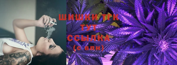 индика Богданович