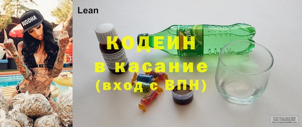 индика Богданович