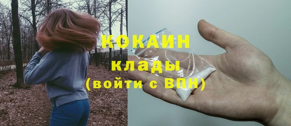 индика Богданович