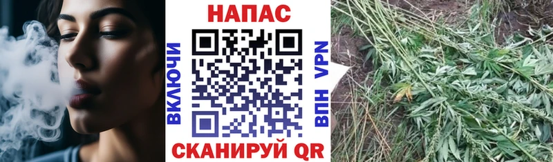 Купить закладки  Могоча  Бошки Шишки марихуана 